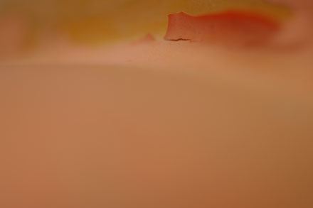 Foto: &copy; Jonas Hallberg Eggen