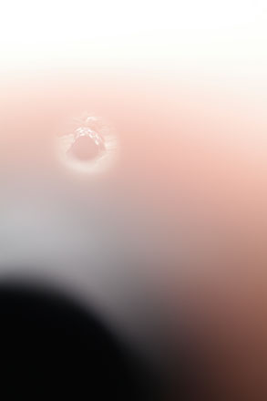 Foto: &copy; Jonas Hallberg Eggen