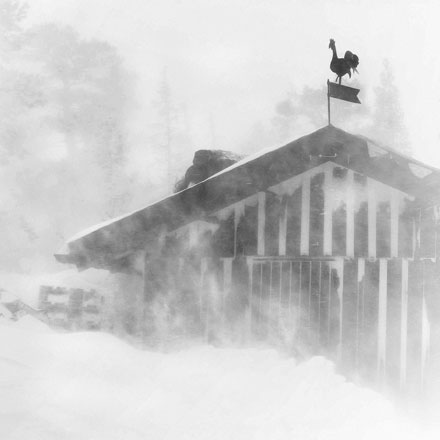 Foto: &copy; Jonas Hallberg Eggen, "V&aelig;rhane"