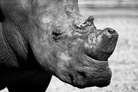 Foto: &copy; Kjetil Valle, "Trist"