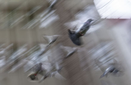 Foto: &copy; Leif Erling Aasan, "Flukt"