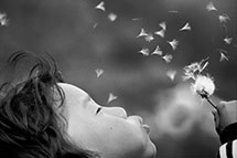 Klikk her for de premierte bildene fra denne runden