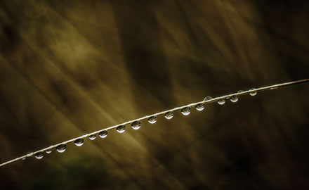 Foto: &copy; Leif Erling Aasan, "Dr&aring;per"