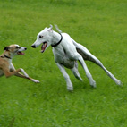 Foto: &copy; Leif Erling Aasan, "Du har'n!"