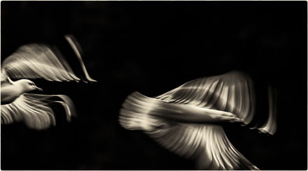 Foto: &copy; Leif Erling Aasan, "Flukt"