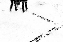 Klikk her for de premierte bildene fra denne runden