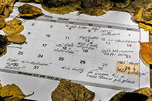 &Aring;rets fotograf