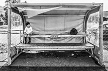 &Aring;rets bilde 2013