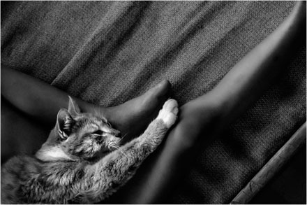 Foto: &copy; Leif Erling Aasan, "Nico"