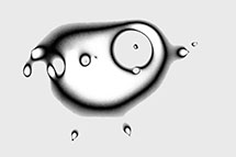 &Aring;rets fotograf