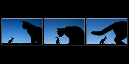 Foto: &copy; Leif Erling Aasan, "Piss off, Dino!"