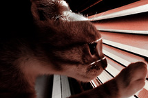 Klikk her for de premierte bildene fra denne runden