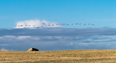 Foto: &copy; Leif Erling Aasan, "Sikkert v&aring;rtegn"