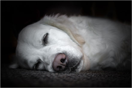 Foto: &copy; Leif Erling Aasan, "Smula"