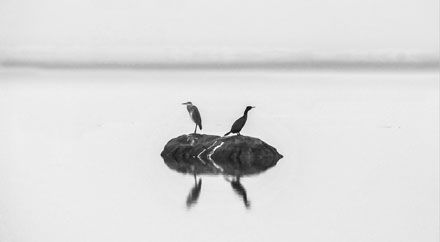 Foto: &copy; Leif Erling Aasan, "S&oslash;rover eller nordover"