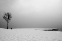 &Aring;rets fotograf 2011