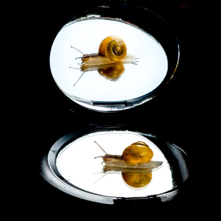 Foto: &copy; Leif Erling Aasan, "Treigere enn sitt eget speilbilde"