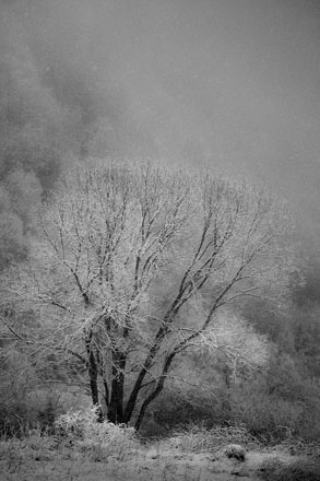 Foto: &copy; Leif Erling Aasan