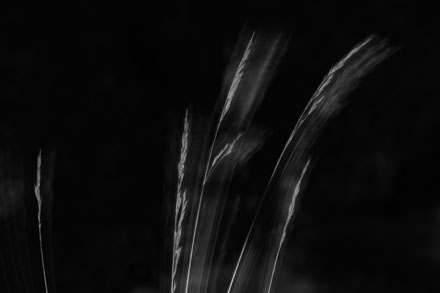 Foto: &copy; Leif Erling Aasan, "Urolige str&aring;"