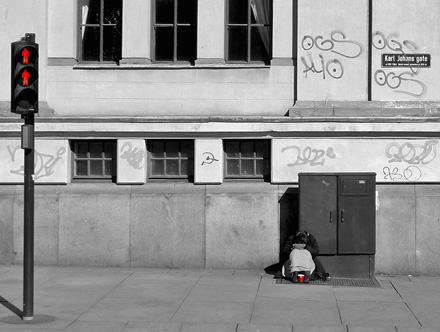 Foto: &copy; Leif Erling Aasan, "Venter p&aring; en gr&oslash;nn nordmann" 
