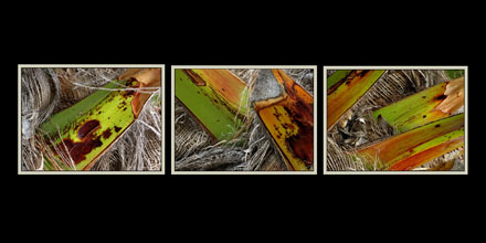 Foto: &copy; Lette Gauseth, "1-2-3"