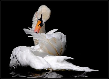 Foto: &copy; Letta Gauseth, "Grasi&oslash;s"
