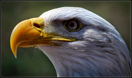 Foto: &copy; Letta Gauseth, "&Oslash;rneblikk". 