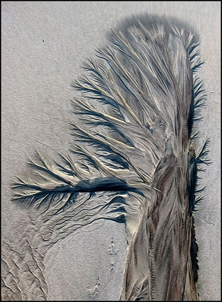 Foto: &copy; Lette Gauseth, "Sandtreet"