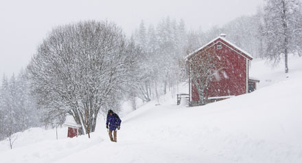 Foto: &copy; Magnar Fj&oslash;rtoft, "Med h&aring;p om snarlig v&aring;r"