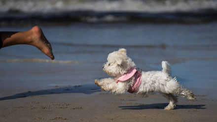 Foto: &copy; Magnar Fj&oslash;rtoft, "Se opp for mennesket"