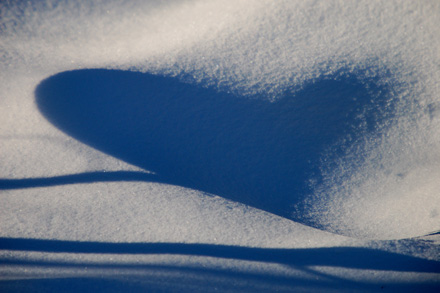 Foto: &copy; Marit Sporsheim, "Sn&oslash;hjerte"