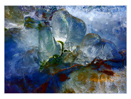 Foto: &copy; Marit Sporsheim, "Vinterkunst i hagedammen" 