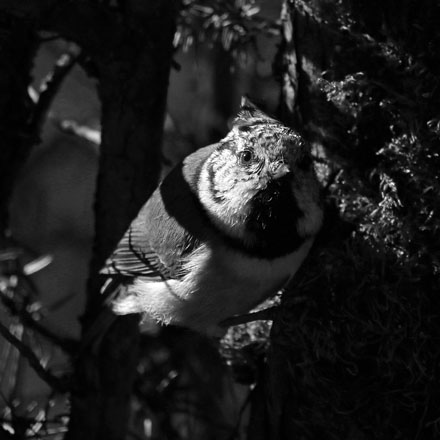 Foto: &copy; Norunn Bolstad, "Bare i sort hvitt"