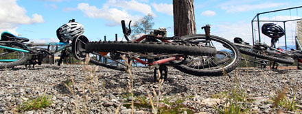 Foto: &copy; Norunn Bolstad, "Hvor er de?"