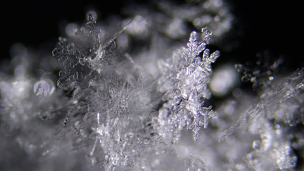 Foto: &copy; Norunn Bolstad, "Sn&oslash;krystaller 2"