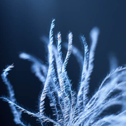 Foto: &copy; &Oslash;ystein Nerland, "Gentle stretch"