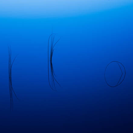 Foto: &copy; &Oslash;ystein Nerland, "Shapes"