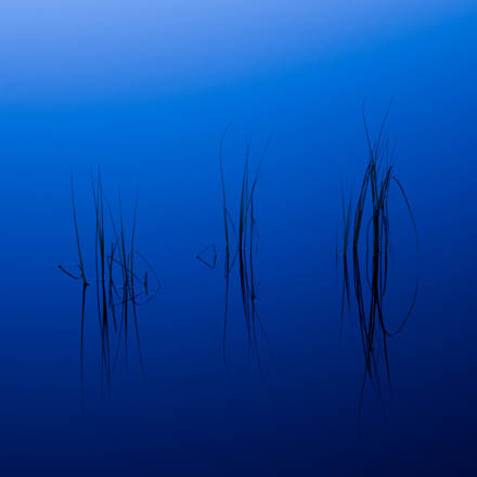 Foto: &copy; &Oslash;ystein Nerland, "Writings in blue"