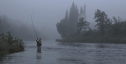 Foto: &copy; &Oslash;ystein Wiik, "Endelig"