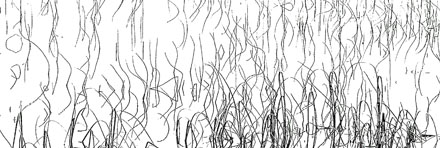 Foto: &copy; &Oslash;ystein Wiik, "Erotisk strek, str&aring; gjennom is"