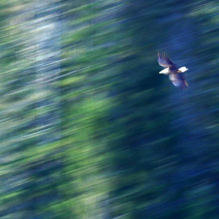 Foto: &copy; &Oslash;ystein Wiik, "Fart" 