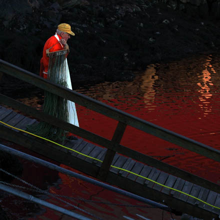 Foto: &copy; &Oslash;ystein Wiik, "Fisker" 