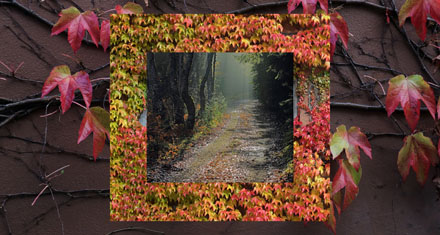 Foto: &copy; &Oslash;ystein Wiik, "H&oslash;stvindu"