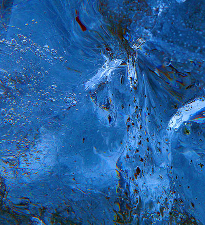 Foto: &copy; &Oslash;ystein Wiik, "Kun i kulde"