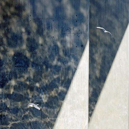 Foto: &copy; &Oslash;ystein Wiik, "M&aring;ker" 