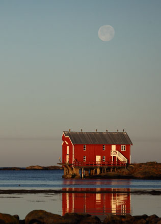 Foto: &copy; &Oslash;ystein Wiik, "R&oslash;d hvileplass"