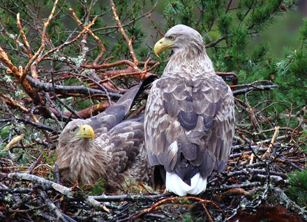 Foto: &copy; &Oslash;ystein Wiik, "Siste dager sammen" (runde 1) 