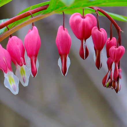 Foto: &copy; Per Stavnesli