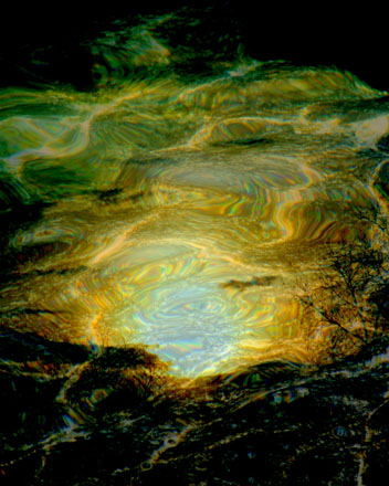 Foto: &copy; Per Thore Krohn, "Breiflabb med farge"