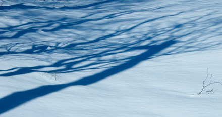 Foto: &copy; Per Thore Krohn, "Sn&oslash;skog"